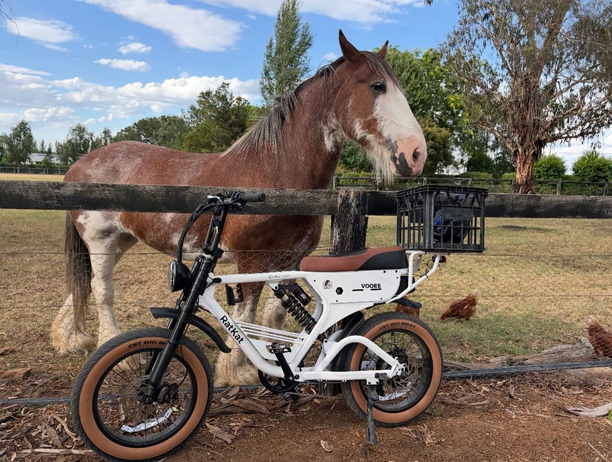 RatKat Vooee fat-tyre electric bike on the Australian coast