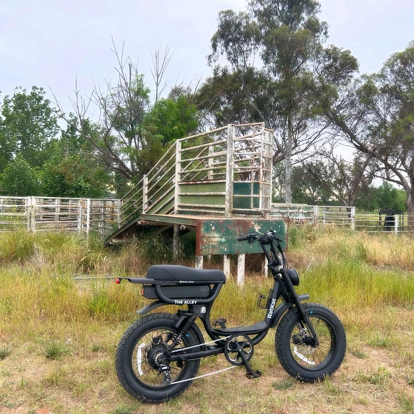 Electric bike on Australian road — e-bike laws explained