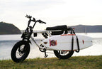 Surfboard Bike Rack